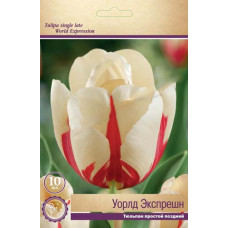 Тюльпан Уорлд Экспрешн (простой поздний)