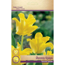 Тюльпан Йеллоу Краун (триумф)