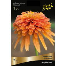 Эхинацея пурпурная Мармелад