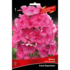 Флокс Анна Каренина (метельчатый, российская селекция)