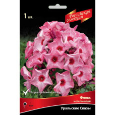 Флокс Уральские Сказы (метельчатый, российская селекция)