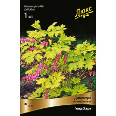 Дицентра Голд Харт (великолепная)