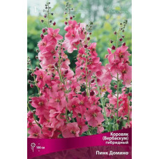 Коровяк Пинк Домино (гибридный)