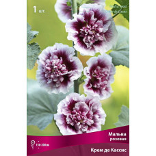 Мальва Крем де Кассис