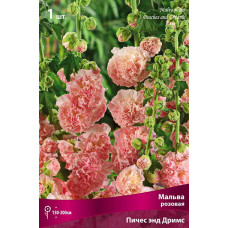 Мальва Пичес энд Дримс