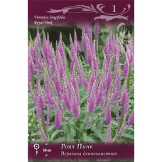 Вероника Роял Пинк (длиннолистная) 