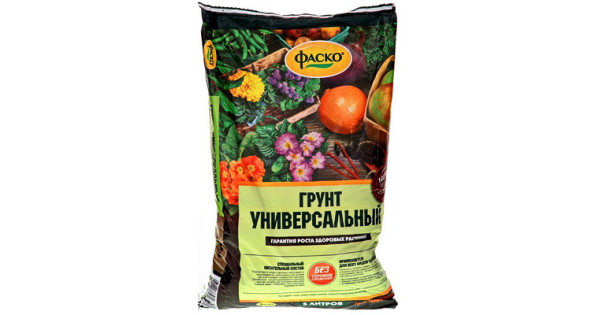 Интернет Магазин Садовых Растений В Нижнем Новгороде
