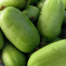 Актинидия аргута Дачная 