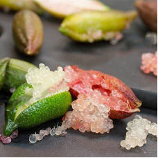 Цитрус Лайм Пальчиковый 