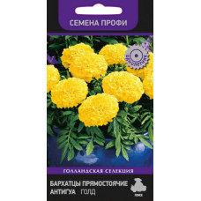 Бархатцы прямостоячие Антигуа Голд