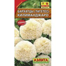 Бархатцы Килиманджаро