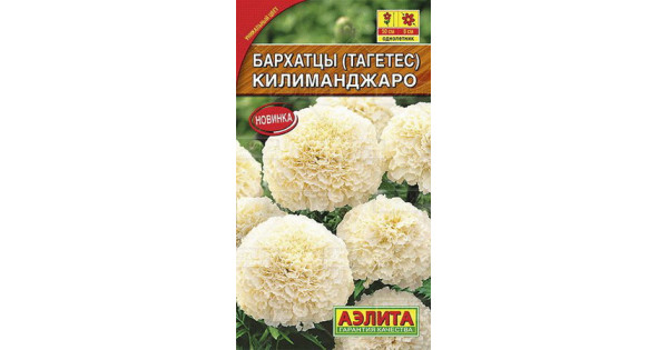 Купить Семена Аэлита В Интернет Магазине Фирмы