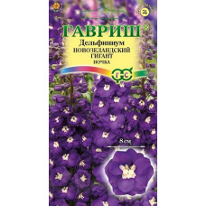 Дельфиниум, махр Новозеландский гигант Ночка