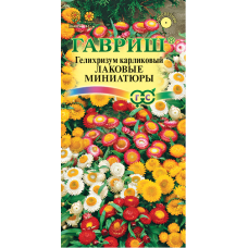 Гелихризум карлик. Лаковые миниатюры