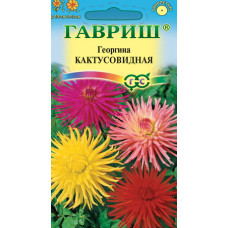 Георгина Кактусовидная, смесь
