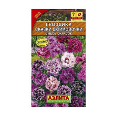 Гвоздика китайская Сказки дюймовочки, смесь окрасок
