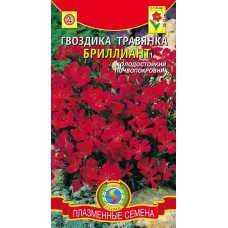 Гвоздика травянка БРИЛЛИАНТ 