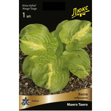 Хоста гибридная Манго Танго 