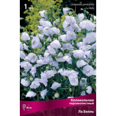 Колокольчик персиколистный Ла Белль 