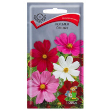 Космея Сенсация  
