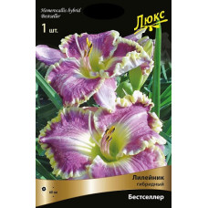 Лилейник гибридный Бестселлер