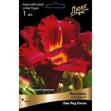 Лилейник гибридный Лил Ред Уэгон 