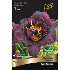 Лилейник гибридный Вуду Дансер  