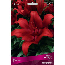 Лилия Покерфейс (ЛА-гибрид) 