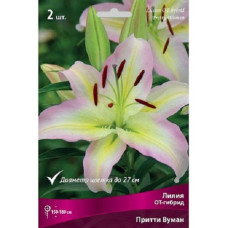 Лилия Притти Вумен (ОТ-гибрид)