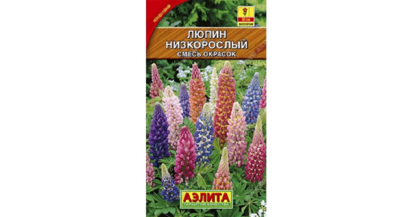 Люпин Низкорослый, смесь окрасок купить в магазине Чистый Мир.
