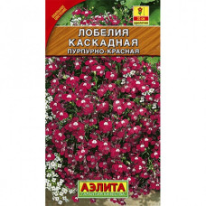 Лобелия каскадная пурпурно-красная