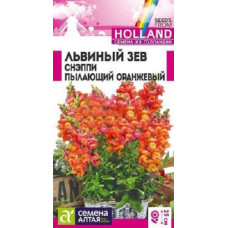 Львиный зев Снэппи Пылающий оранжевый