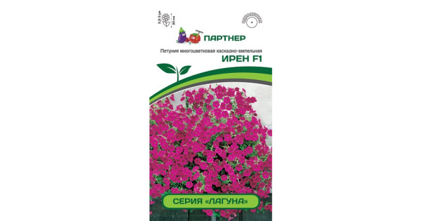 Петуния Ру Томск Интернет Магазин