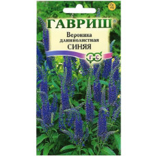 Вероника длиннолистная Синяя