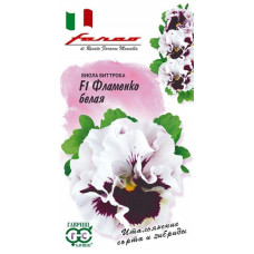 Виола Фламенко белая F1, Виттрока (Анютины глазки), серия Фарао