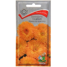 Календула пацифик Абрикосовая красавица