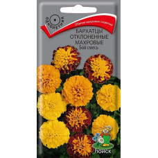 Бархатцы отклонённые махровые Бой смесь 