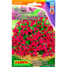 Петуния Джоконда пурпурная