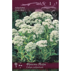 Седум гибридный Фрости Морн