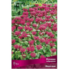 Монарда гибридная Махогани (винно-красный) 