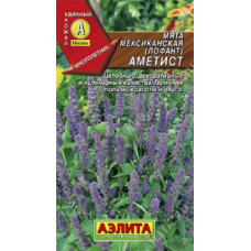 Мята мексиканская Аметист