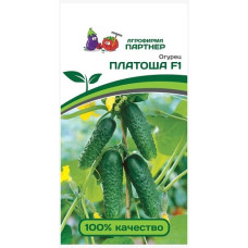 Огурец ПЛАТОША F1