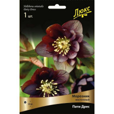 Морозник восточный Пати Дрес 