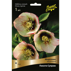 Морозник восточный Пикоти Суприм 