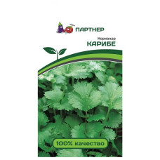 Кориадр Карибе 