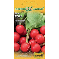 Сексуалды қыздар