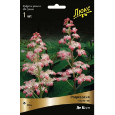 Роджерсия перистая Ди Шон  