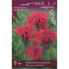 Монарда гибридная Гадэнвью Скарлет 