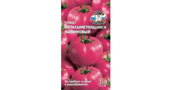 Интернет Магазин Седек Почтой