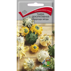 Тыква декоративная Шахрезада звёзды 